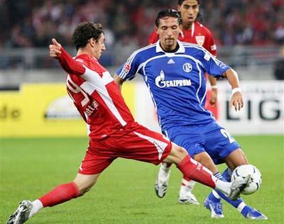 身处高原主 身处高原主